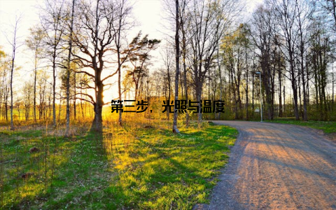 第三步, 光照与温度