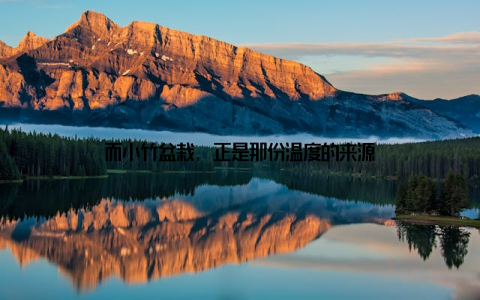 而小竹盆栽, 正是那份温度的来源