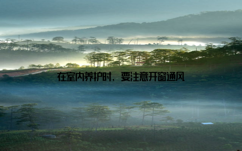 在室内养护时, 要注意开窗通风