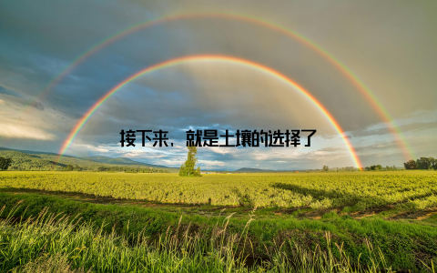 接下来, 就是土壤的选择了