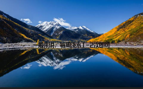 一般来说, 每周浇水1-2次即可