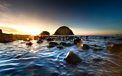 可选用农药或生物防治方法