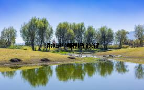 浇水是绿萝养护的关键