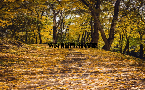 选购信誉良好的商家