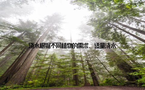 浇水根据不同植物的需求, 适量浇水