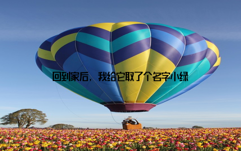 回到家后, 我给它取了个名字小绿