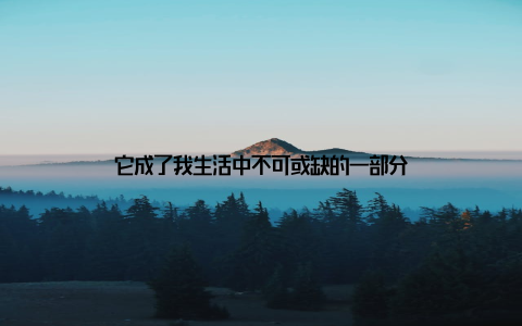 它成了我生活中不可或缺的一部分