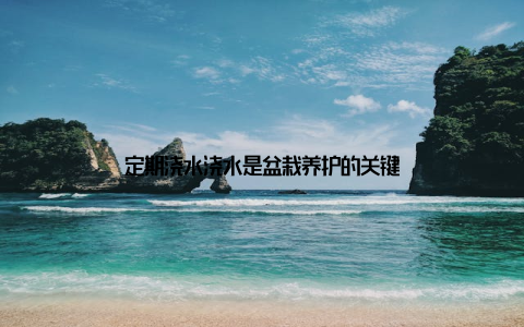 定期浇水浇水是盆栽养护的关键