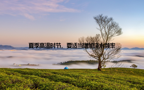 夏季高温时节, 要适当增加浇水频率