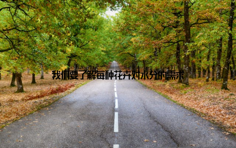 我们要了解每种花卉对水分的需求